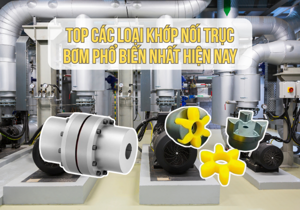 Top Các Loại Khớp Nối Trục Bơm Phổ Biến Nhất Hiện Nay